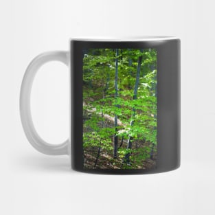 Young beech forest Mug